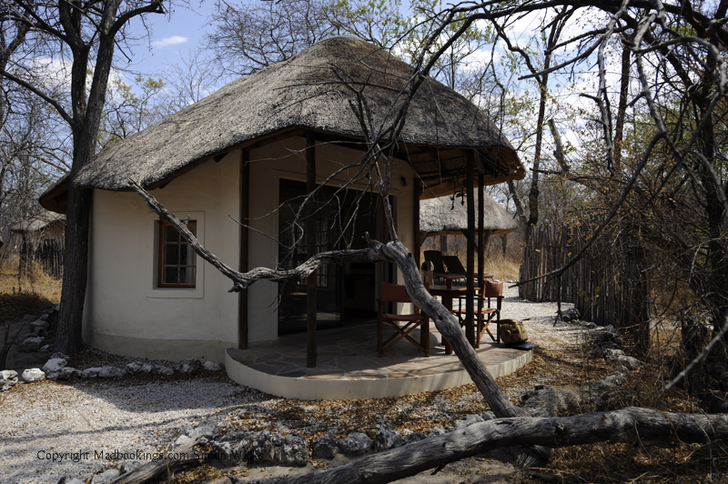 Onguma Forest Camp Etosha National Park