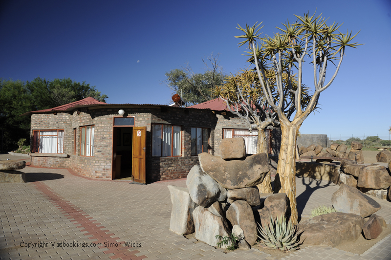 Quiver Tree Forest Camp Keetmanshoop