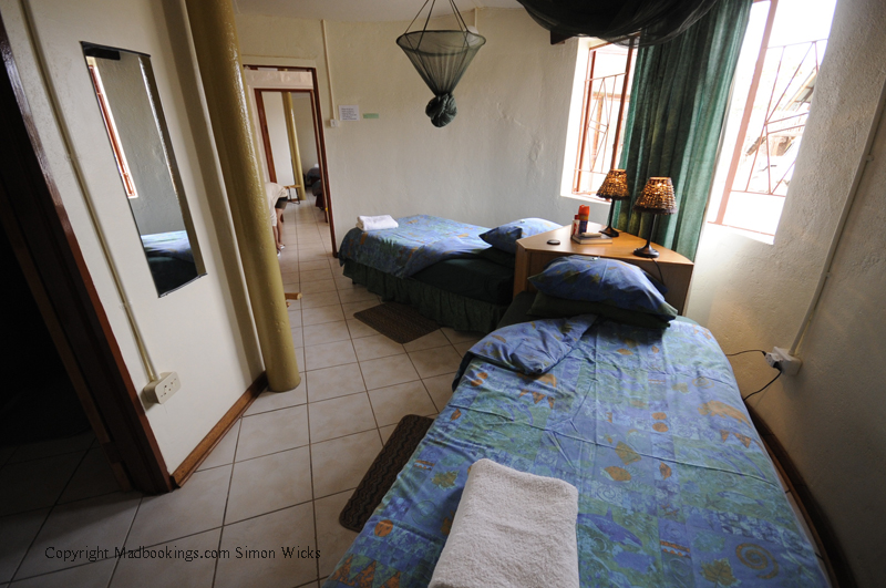 Quiver Tree Forest Camp Keetmanshoop