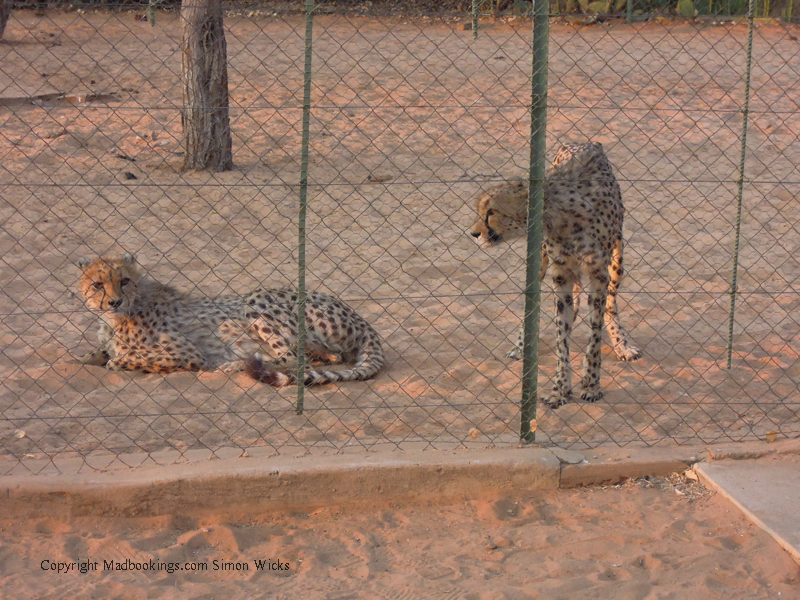 Picture taken at Zeldas Camping Buitepos Namibia