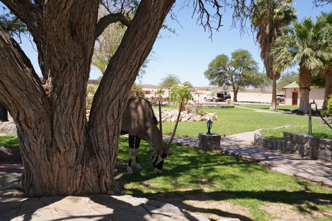 Picture taken at Canyon Lodge Fish River Canyon Namibia