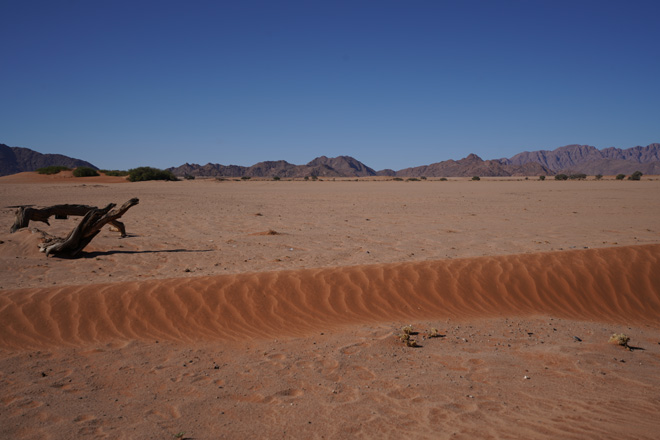 Picture taken at Dead Valley Lodge at Sesriem near Sossusvlei Namibia