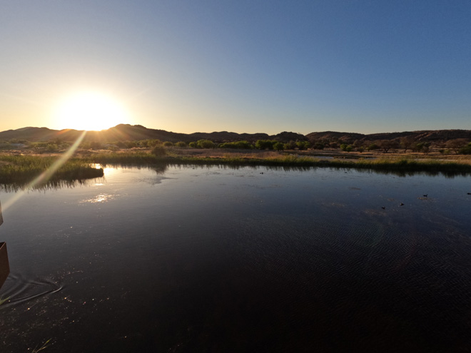 Picture taken at Gross Barmen Resort  Okahandja Namibia