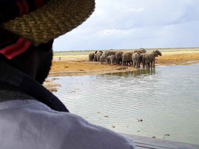 King Nehale Lodge Etosha National Park