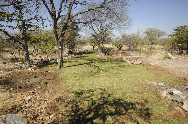 Picture taken at Mondjila Safari Camp Etosha National Park Namibia