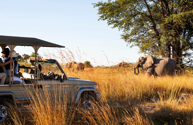 Picture taken at Namushasha River Camping2Go Zambezi (Caprivi) Namibia