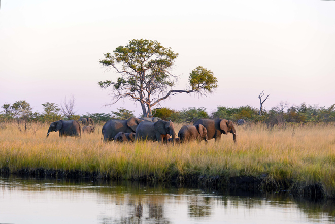 Picture taken at Namushasha River Villa Zambezi (Caprivi) Namibia