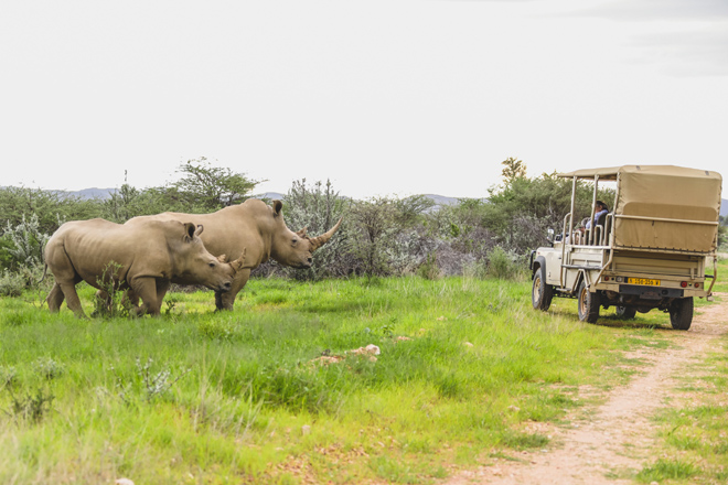 Okapuka Safari Lodge Windhoek