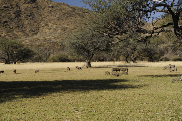 Picture taken at Okapuka Safari Lodge Windhoek Namibia