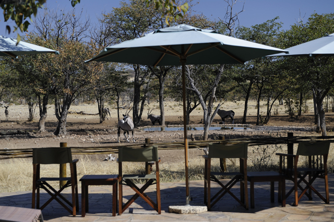 Picture taken at Ongava Tented Camp Etosha National Park Namibia