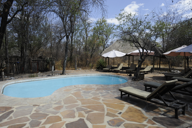 Onguma Forest Camp Etosha National Park swimming pool