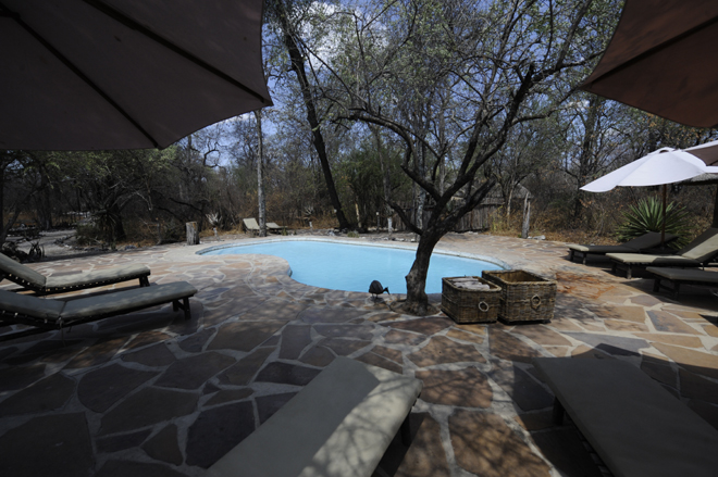 Onguma Forest Camp Etosha National Park explorer bungalow