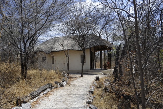 Onguma Forest Camp Etosha National Park accommodation Bungalow