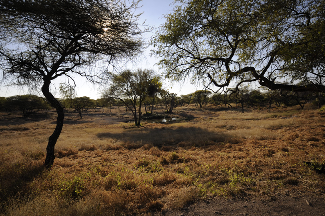 Picture taken at Onguma Tented Camp Etosha National Park Namibia