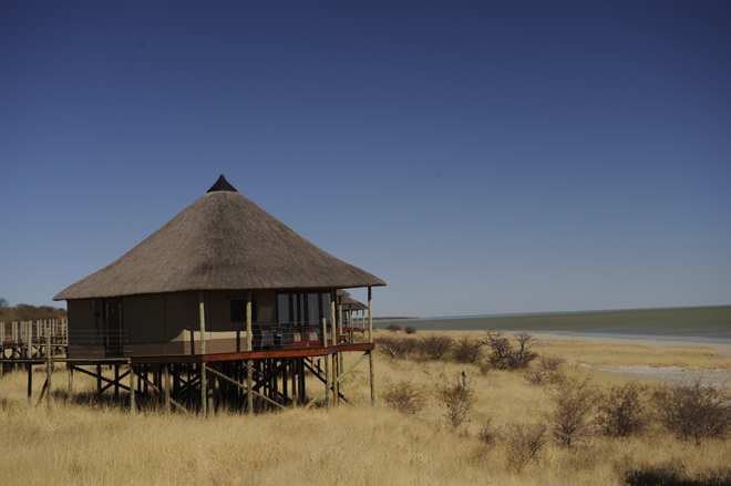 Onkoshi Etosha National Park