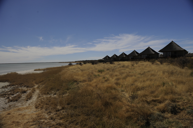 Onkoshi Etosha National Park