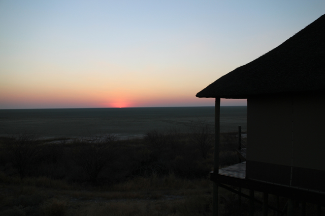 Picture taken at Onkoshi Etosha National Park Namibia