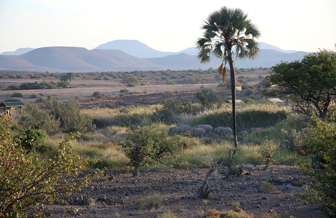 Palmwag Camping 2 Go Damaraland