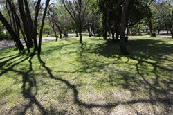 Sasurungu River Lodge Rundu