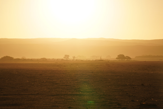 Picture taken at Sesriem Oshana Campsite at Sesriem near Sossusvlei Namibia