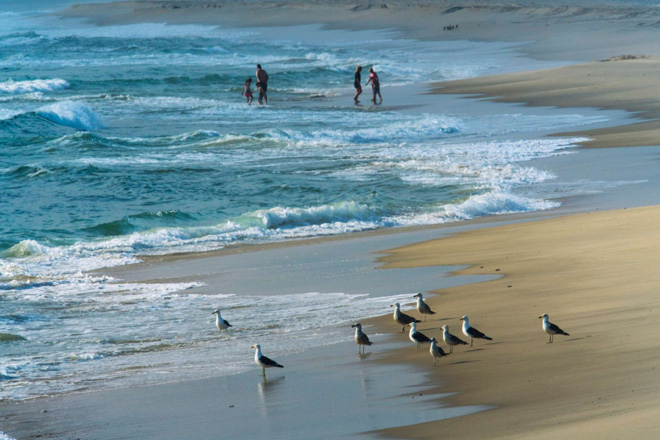 Torra Bay Camp Skeleton Coast