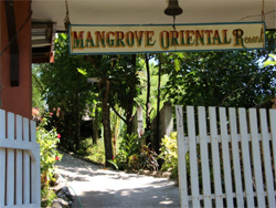 Mangrove Oriental Resort