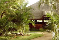 Hongonyi Private Game Lodge