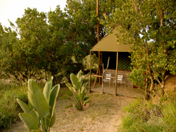 Amangwane Camp