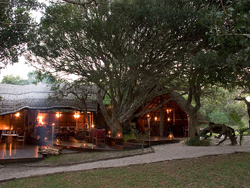 Kosi Forest Lodge