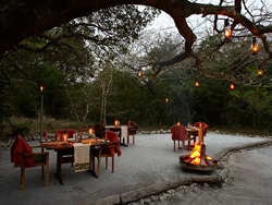 Kosi Forest Lodge