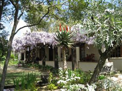 Top House Bed and Breakfast Ladybrand South Africa - Hotels ...