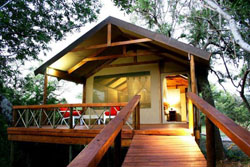 Lion Tree Lodge