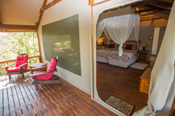 Lion Tree Lodge