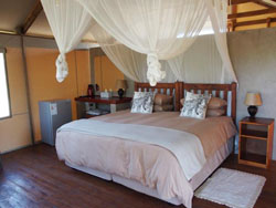 Lion Tree Lodge