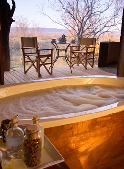 Madikwe Safari Lodge