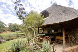 Meloti Valley Game Farm Middelburg